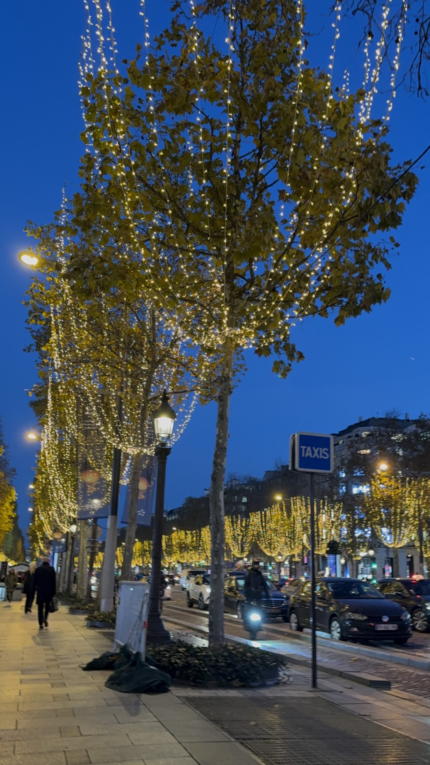 Champs-Élysées em Paris